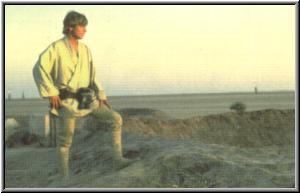 Luke Skywalker admira el firmamento en espera de su destino