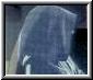 El Misterioso Darth Sidious