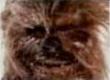 El Wookiee Chewbacca